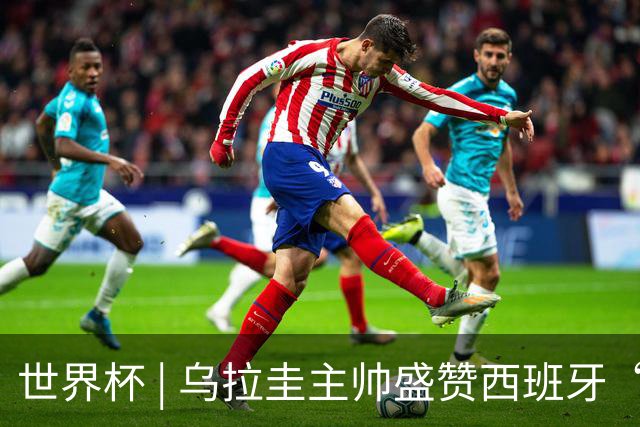 世界杯 | 乌拉圭主帅盛赞西班牙“精致足球”